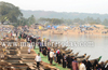 Mangalore: Boats Bridge for Uroos at Adyar